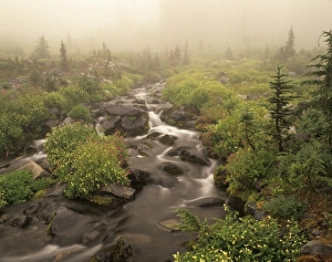 USA, North America, Washington