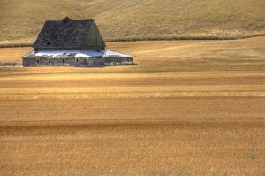 Images Dated 5th June 2008: USA, North America, Washington