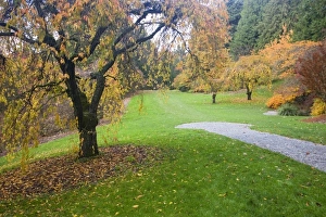 Images Dated 9th November 2006: USA, North America, Washington