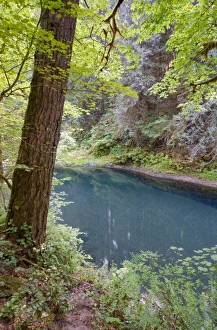 Images Dated 11th August 2006: USA, North America, Washington