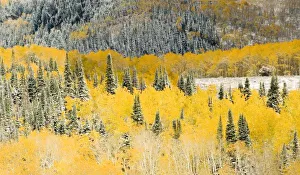 USA, North America, Wyoming