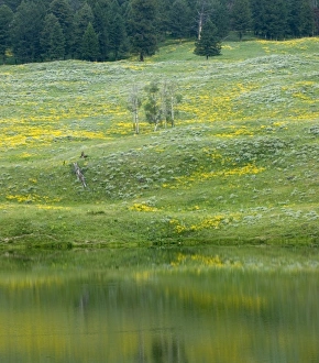 USA, North America, Wyoming