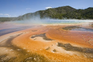 Images Dated 21st June 2008: USA, North America, Wyoming