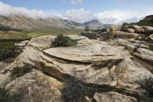 Images Dated 6th June 2009: USA, North America, Wyoming