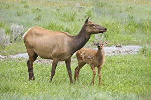 USA, North America, Wyoming