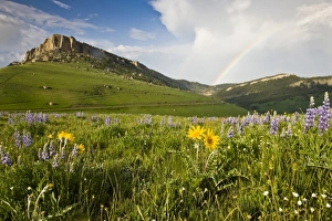 USA, North America, Wyoming