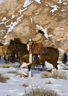Images Dated 14th February 2008: USA, North America, Wyoming