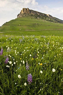 USA, North America, Wyoming