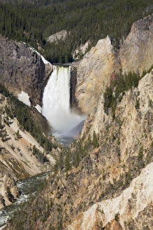 USA, North America, Wyoming