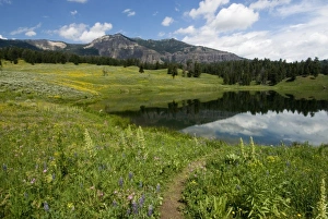 USA, North America, Wyoming