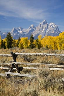 Images Dated 28th September 2008: USA, North America, Wyoming