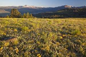 Images Dated 23rd July 2011: USA, North America, Wyoming