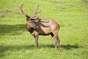 USA, North America, Wyoming
