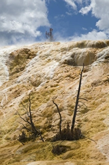 USA, North America, Wyoming