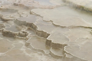 Images Dated 23rd May 2005: USA, North America, Wyoming