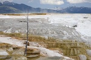 USA, North America, Wyoming