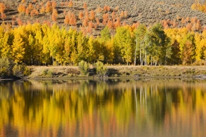Images Dated 30th September 2008: USA, North America, Wyoming