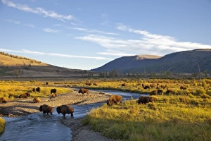 USA, North America, Wyoming