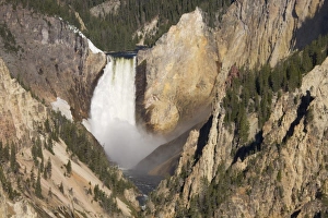 Images Dated 20th June 2008: USA, North America, Wyoming