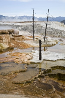 USA, North America, Wyoming