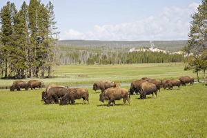 USA, North America, Wyoming