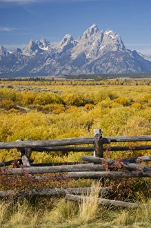 Images Dated 28th September 2008: USA, North America, Wyoming