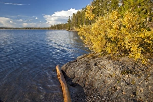 Images Dated 18th September 2009: USA, North America, Wyoming