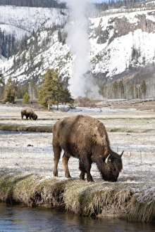 USA, North America, Wyoming