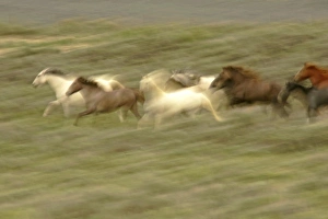 Images Dated 28th May 2005: USA, North America, Wyoming