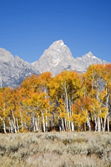 Images Dated 30th September 2008: USA, North America, Wyoming