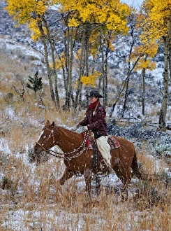 USA, North America, Wyoming