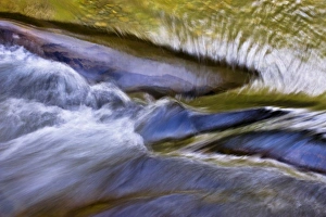 Rushing Prints: USA, North Carolina, Big Creek. Abstract of rapids