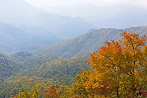 Images Dated 10th October 2014: USA, North Carolina, Blue Ridge Parkway. Scenic overlook