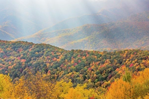 Overview Prints: USA, North Carolina, Blue Ridge Parkway