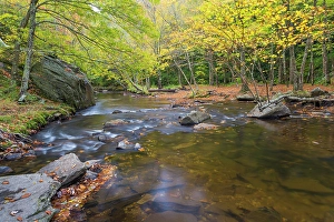 North Carolina Prints: USA, North Carolina, Blue Ridge Parkway