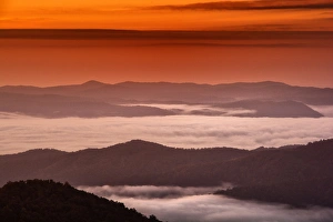 USA, North Carolina, Brevard. Landscape in Pisgah National Forest