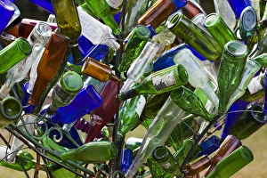East Coast Prints: USA, North Carolina, Chapel Hill, bottle tree