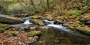 Great Smoky Mountain Prints: USA, North Carolina, Cherokee, Great Smoky Mountains National Park