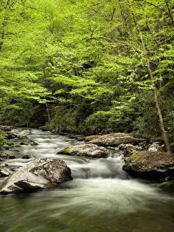 Images Dated 2nd May 2010: USA, North Carolina, Great Smoky Mountains National Park, Straight Fork flows through