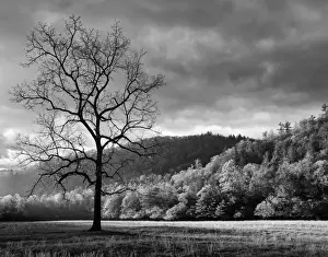 Images Dated 2nd May 2010: USA, North Carolina, Great Smoky Mountains National Park, Storm clearing at dawn