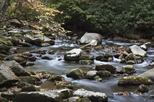 Images Dated 24th October 2013: USA, North Carolina, Great Smoky Mountains National Park, Oconaluftee River, autumn