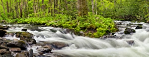 Smoky Prints: USA, North Carolina, Great Smoky Mountains National Park, Panoramic view of water