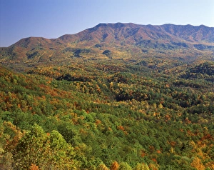 Images Dated 11th February 2013: USA, North Carolina, Great Smoky Mountains National Park, View of Mt Cammerer