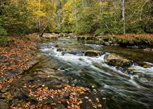Images Dated 8th December 2020: USA, North Carolina, Great Smoky Mountains National Park