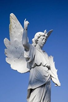 Statuary Prints: USA, North Carolina, Hendersonville cemetery, Thomas Wolfes Look Homeward Angel