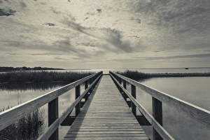 Images Dated 5th November 2013: USA, North Carolina, Outer Banks National Seashore, Corolla, marsh boardwalk