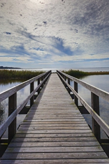 Images Dated 5th November 2013: USA, North Carolina, Outer Banks National Seashore, Corolla, marsh boardwalk