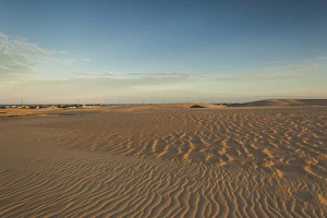 Images Dated 5th November 2013: USA, North Carolina, Outer Banks National Seashore, Nags Head, Jockeys Ridge State Park