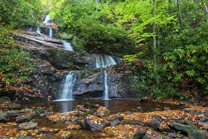 North Carolina Prints: USA, North Carolina, Pisgah National Forest
