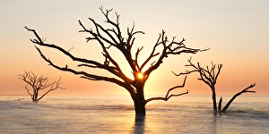 USA, North Carolina. Sunrise at Botany Bay Plantation Heritage Preserve. Credit as